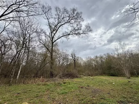 10 Neuman St, Coldspring, TX 77331