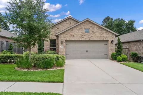 106 E Silky Sephora Ct, Montgomery, TX 77316