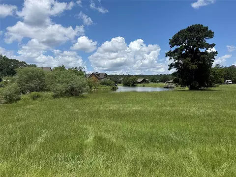 4 Wild Iris Ct, Huntsville, TX 77340