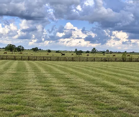 Other - lot7 Old Columbus Rd, Sealy, TX 77474 photo 11 of 11