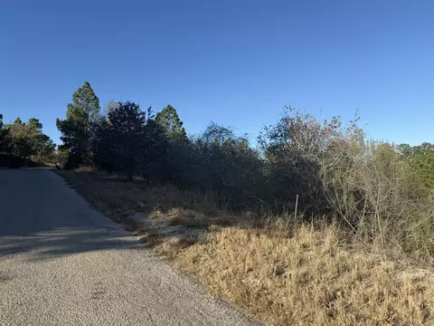 lot858 Mamalu Dr, Bastrop, TX 78602
