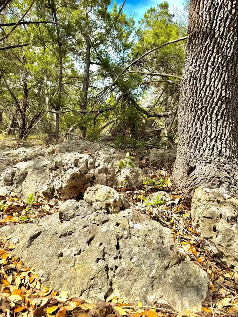 2519 George Pass, Canyon Lake, TX 78133