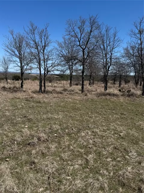Shooting Star Lot 28 ., Lometa, TX 76853