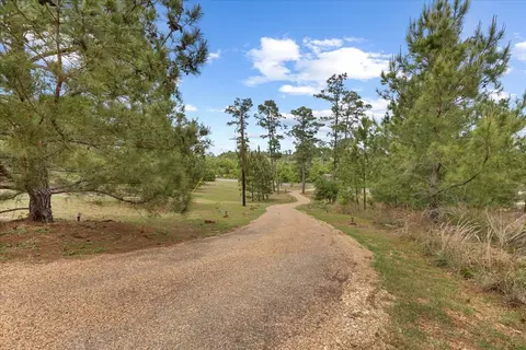 Other - 178 Pine Tree Loop, Bastrop, TX 78602 photo 3 of 36