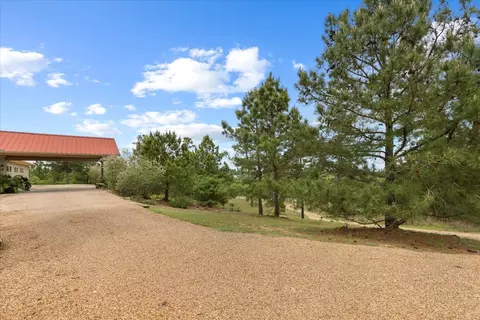 Other - 178 Pine Tree Loop, Bastrop, TX 78602 photo 4 of 36