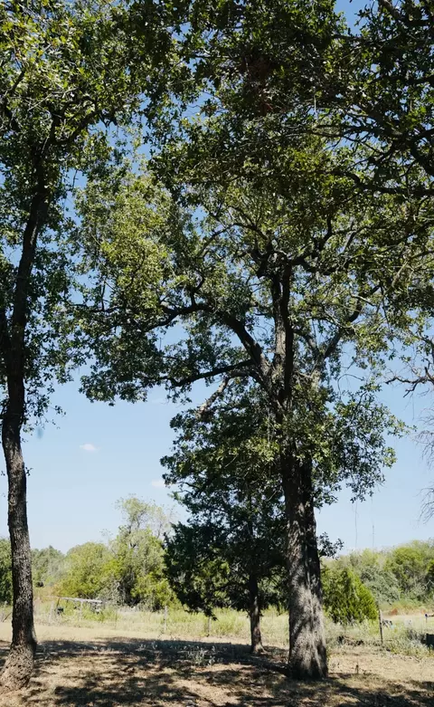 640 County Road 475 Rd, Luling, TX 78648 photo 15