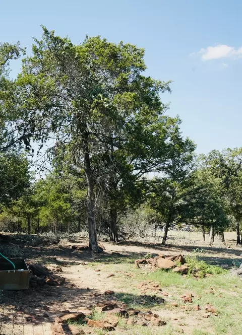 640 County Road 475 Rd, Luling, TX 78648 photo 11