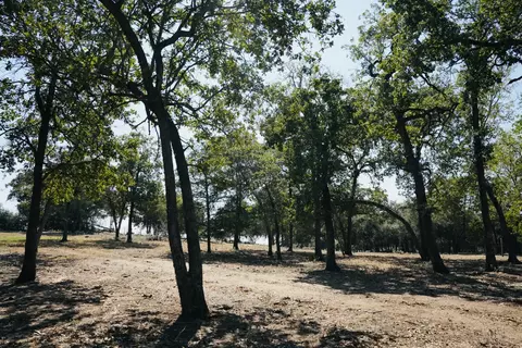640 County Road 475 Rd, Luling, TX 78648 photo 14