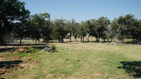 640 County Road 475 Rd, Luling, TX 78648 photo 10