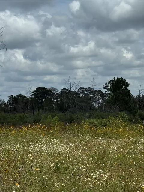 tbd Hwy 21 East Hwy, Bastrop, TX 78602 photo 2