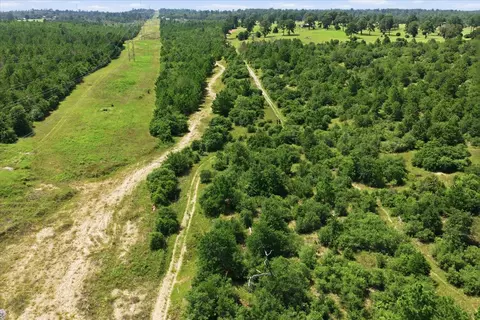 tbd Hwy 21 East Hwy, Bastrop, TX 78602 photo 3