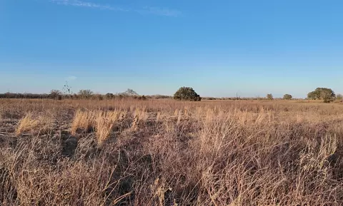 tbd Cr 119, Ledbetter, TX 78946