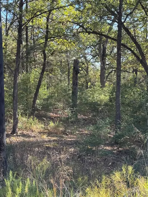 lot130 Wailupe Cir, Bastrop, TX 78602