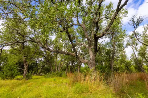 572 Turner Rd, Junction, TX 76859 photo 30