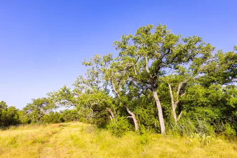 572 Turner Rd, Junction, TX 76859 photo 16