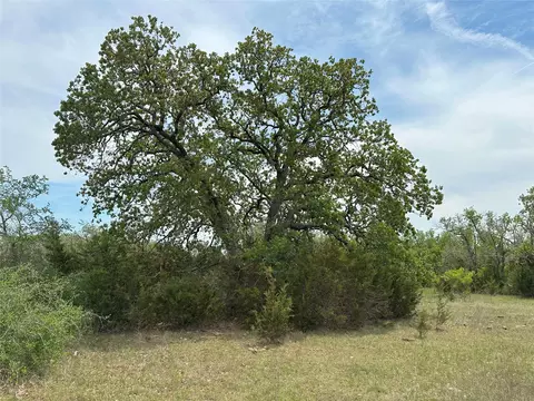tbd County Road 330, Bertram, TX 78605 photo 13