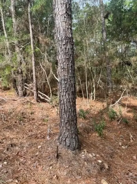 lot345 Wainee Dr, Bastrop, TX 78602