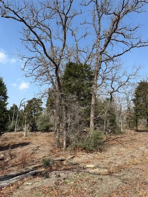 tbd N County Line Rd, Elgin, TX 78621 photo 4