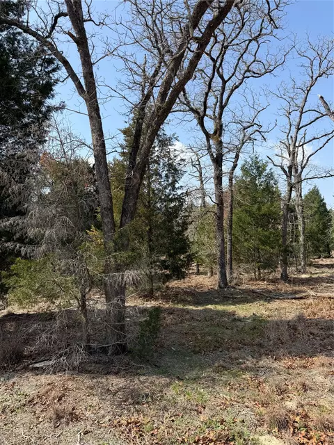 tbd N County Line Rd, Elgin, TX 78621 photo 3