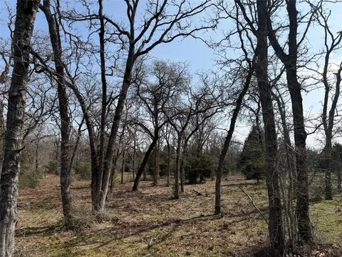 tbd N County Line Rd, Elgin, TX 78621 photo 2