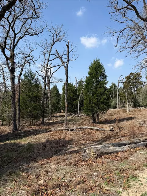 tbd N County Line Rd, Elgin, TX 78621 photo 5