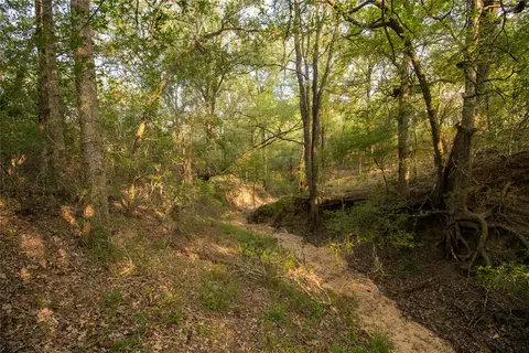438 Firefly Field Ln, Seguin, TX 78155