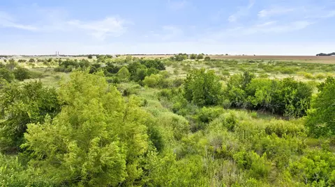 14101 Manda Rd, Manor, TX 78653 photo 10