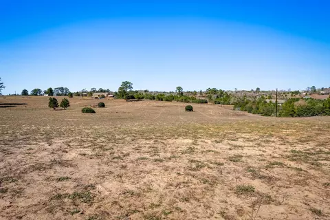 Other - 935 Highway 21 E, Bastrop, TX 78602 photo 9 of 11