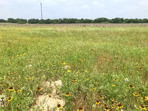 1672 Sayers Rd, Bastrop, TX 78602 photo 21