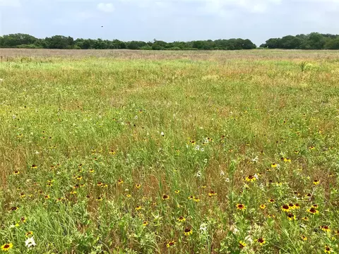 1672 Sayers Rd, Bastrop, TX 78602 photo 27