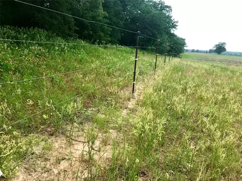 1672 Sayers Rd, Bastrop, TX 78602 photo 14