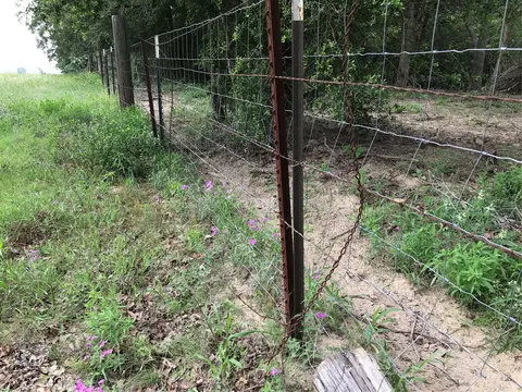 1672 Sayers Rd, Bastrop, TX 78602 photo 11