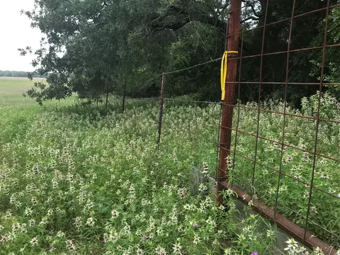 1672 Sayers Rd, Bastrop, TX 78602 photo 15