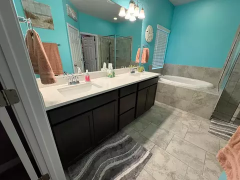 Bath - 16609 Sumptuous Dr, Manor, TX 78653 photo 4 of 6