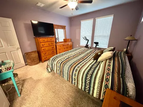Bedroom - 16609 Sumptuous Dr, Manor, TX 78653 photo 7 of 7