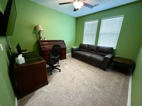 Other - 16609 Sumptuous Dr, Manor, TX 78653 photo 4 of 9