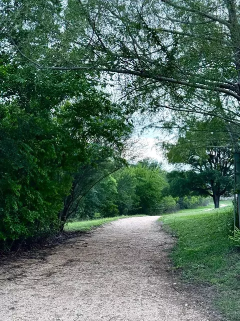 Other - 16609 Sumptuous Dr, Manor, TX 78653 photo 7 of 9