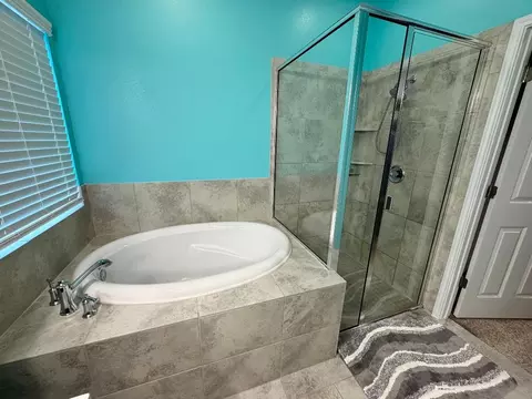 Bath - 16609 Sumptuous Dr, Manor, TX 78653 photo 5 of 6