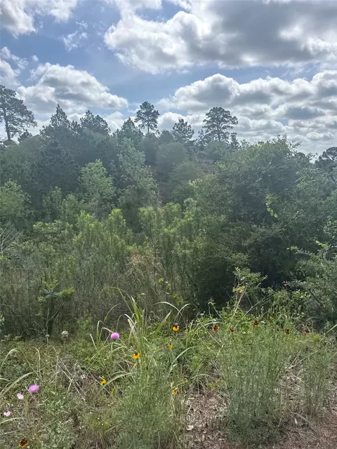 lot798 Tahitian Dr, Bastrop, TX 78602