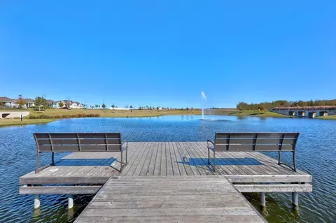 Other - 19300 Bear Grass Dr, Elgin, TX 78621 photo 5 of 10