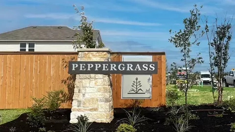 View/Area - 19300 Bear Grass Dr, Elgin, TX 78621 photo 1 of 3