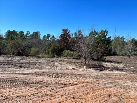 lot50 Martin Ln, Paige, TX 78659