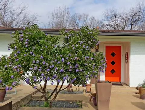 Exterior - 1601 E 19th St, Georgetown, TX 78626 photo 4 of 10