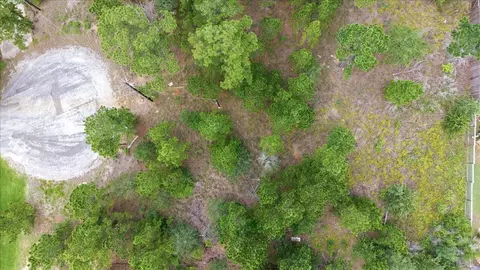 106 Maui Ct, Bastrop, TX 78602