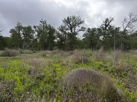 805 County Road 467, Thrall, TX 76578