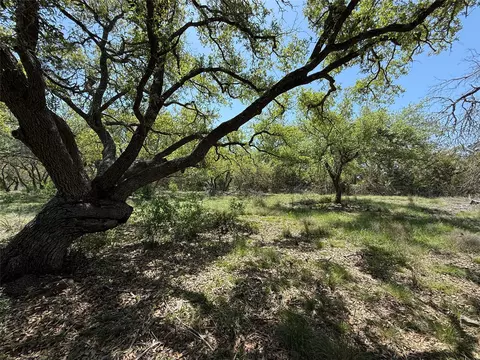 lot106 E Flying Owl Dr, Johnson City, TX 78636