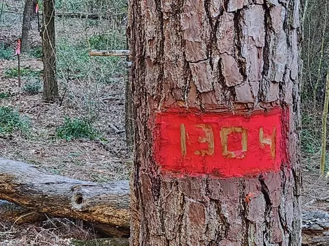 tbd Lot 1304 Hanauma Dr, Bastrop, TX 78602