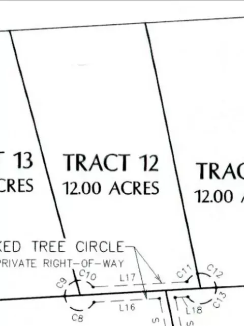 tbd Crooked Tree Cir, Harper, TX 78631