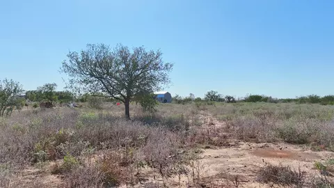 7051 County Rd, Moore, TX 78057 photo 9