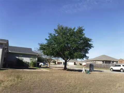 317 Gettysburg Loop, Elgin, TX 78621 photo 4